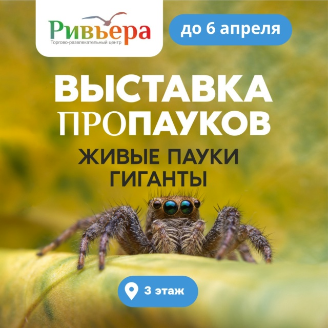 Выставка Пропауков