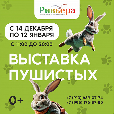 Выставка пушистых в "Ривьере"
